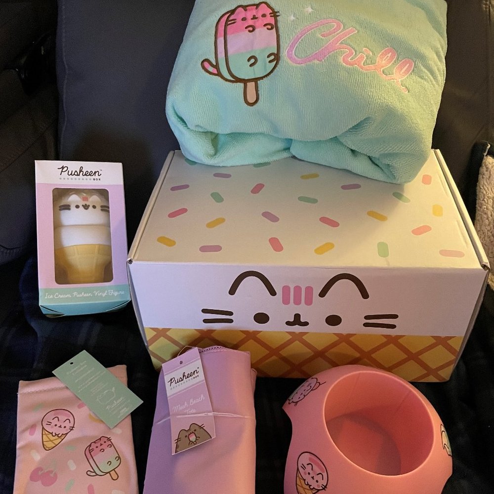 PUSHEEN BOX SUMMER 2023 (XL)